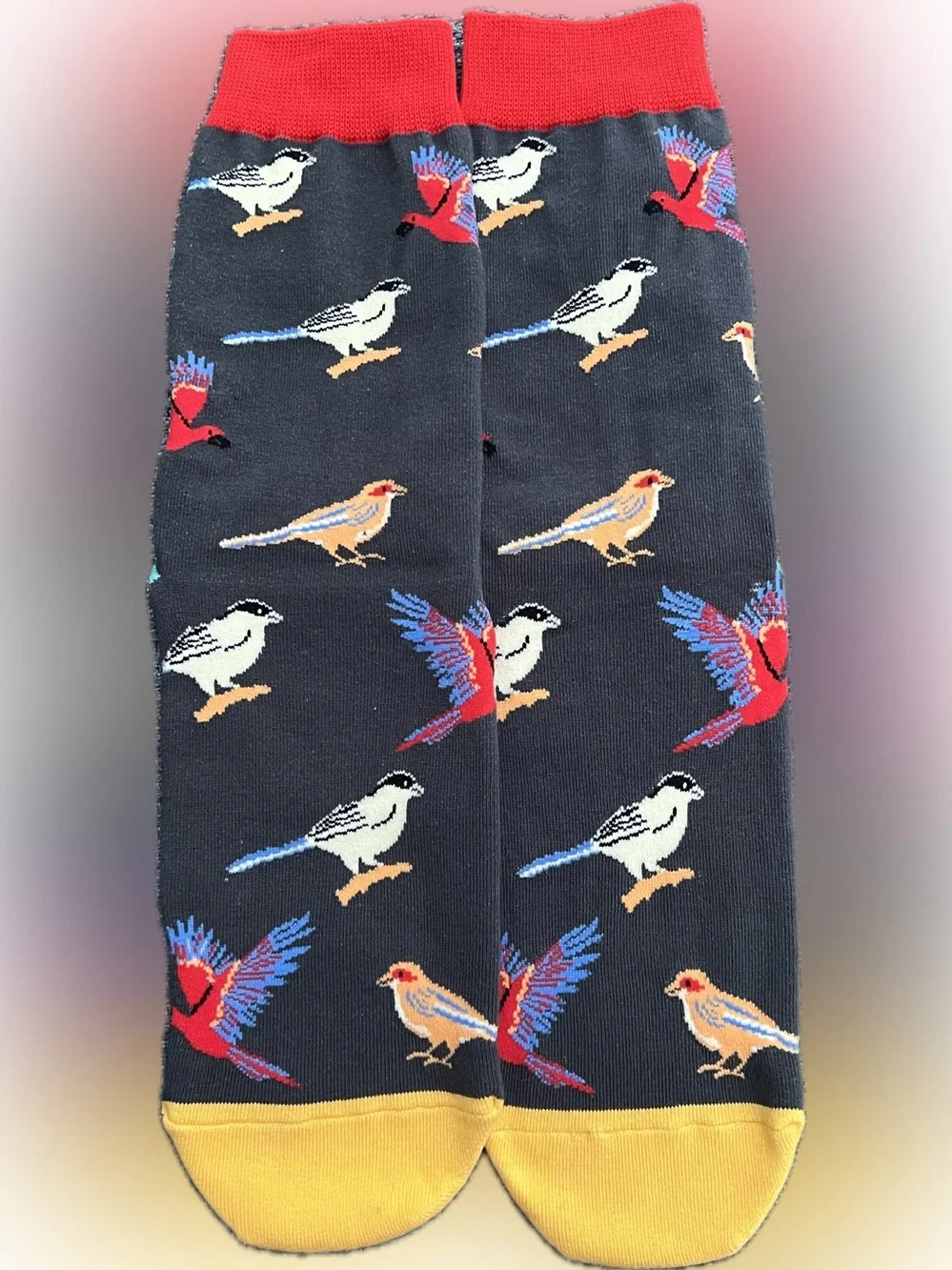 New “If I Was A Bird I Know Who I’d Poop On” Unisex Bird Socks One Size Fits All